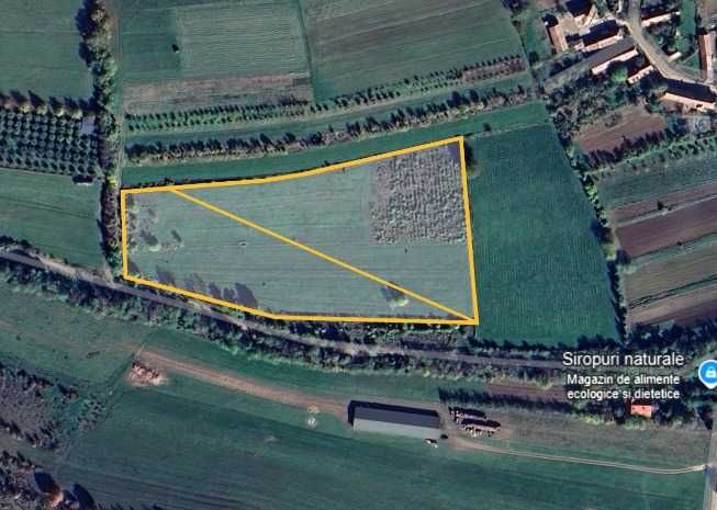 Vand teren in Coltesti