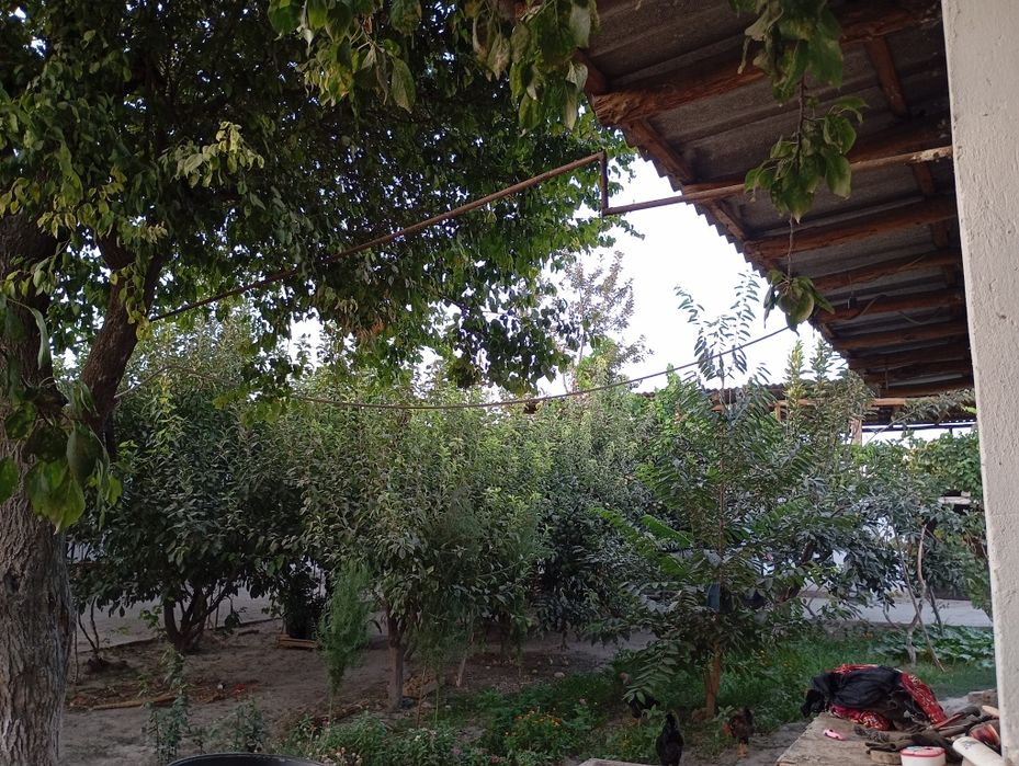 40 сотикли 2 уй сотилади газ свет ичимлики су  бор екин жой 20 сотик