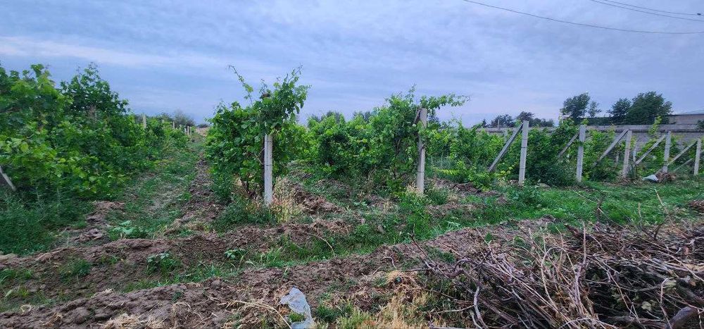 Холодильник 620 тонналик