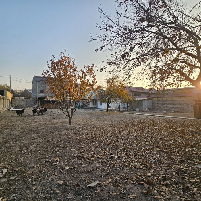 12 sotox yer ijaraga