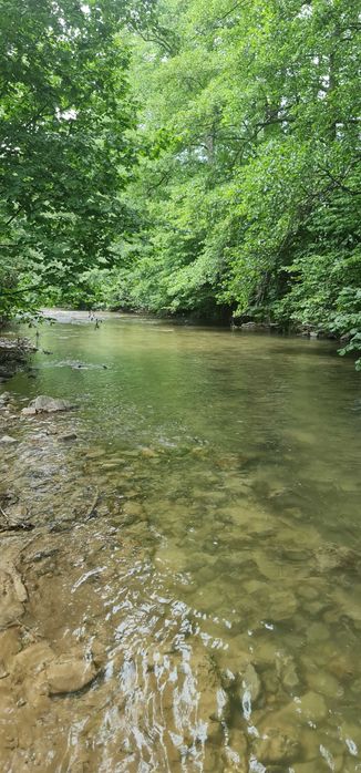 Teren pensiune/cabana  intravilan 4000 mp Bulz