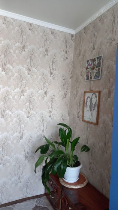 Поклейка обоев Семей