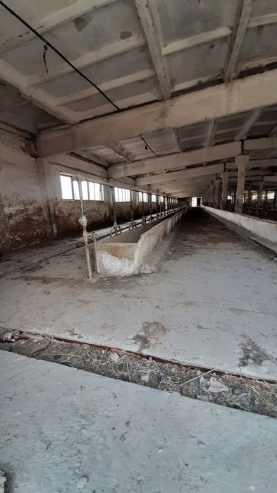 Срочно продаётся 4.5-гектар Туйтепа готовий бизнес