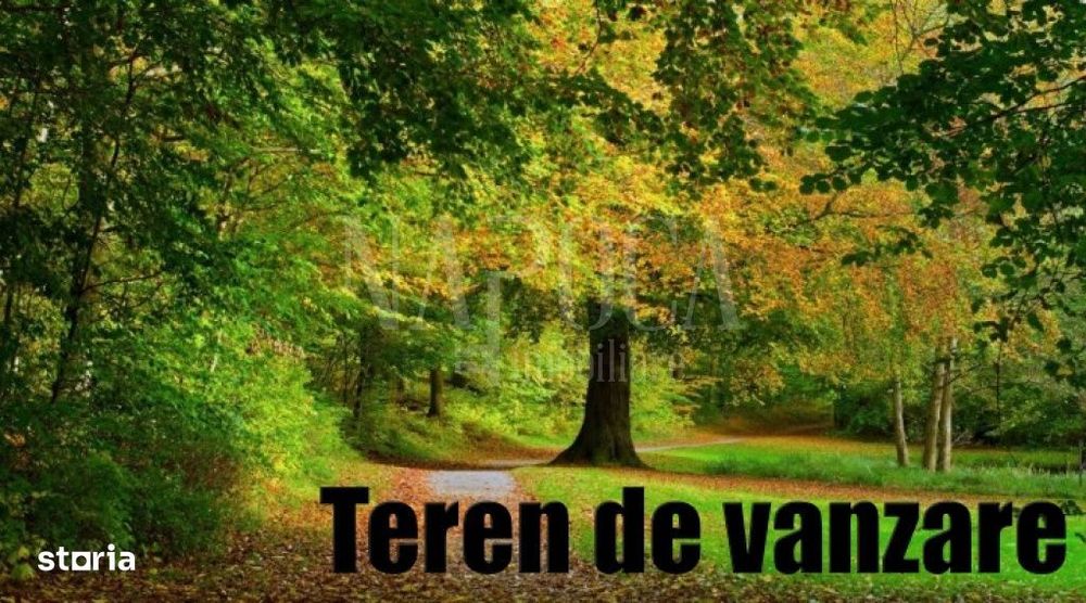 Teren intravilan pentru constructii de vanzare in Faget, Cluj