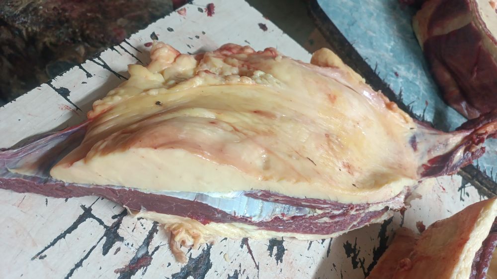 конины даставка бесплатно