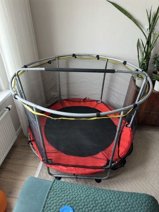 Батут (до 100кг)