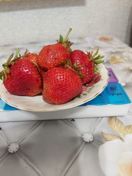 Дача, общество "Союз"