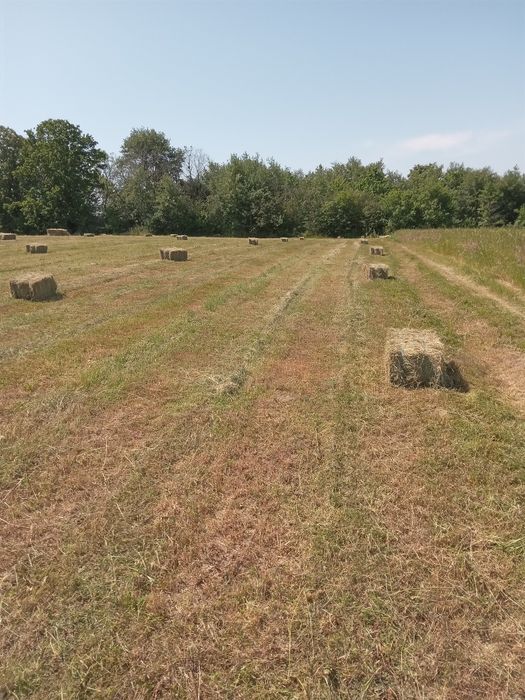 Vand baloti fan an 2025