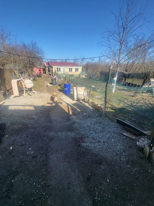 Vand gospodărie LETCA NOUA la 25 min de Bucuresti