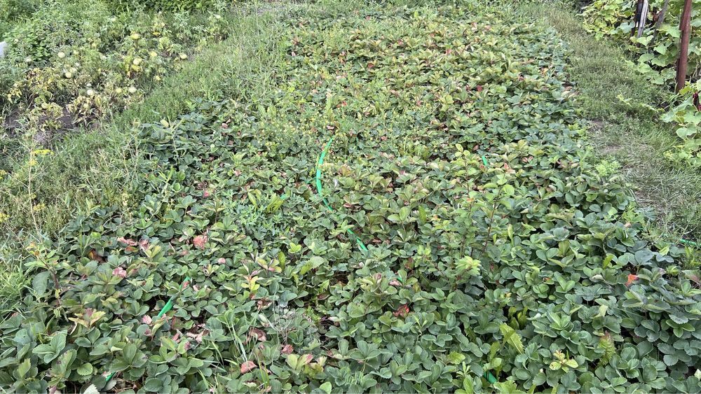 Продам дом или обмен на квартиру