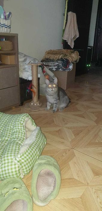 Лтдадим принцессу в хорошие руки