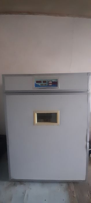 Yangi Inkubator sotiladi 1056 ta tovuq tuxumi ketadi