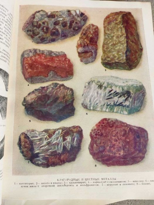 Детская энциклопедия.