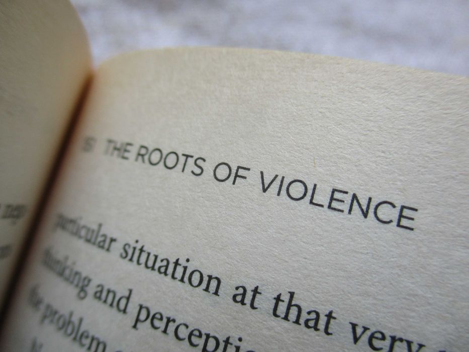 The Art of Happiness in a Troubled World