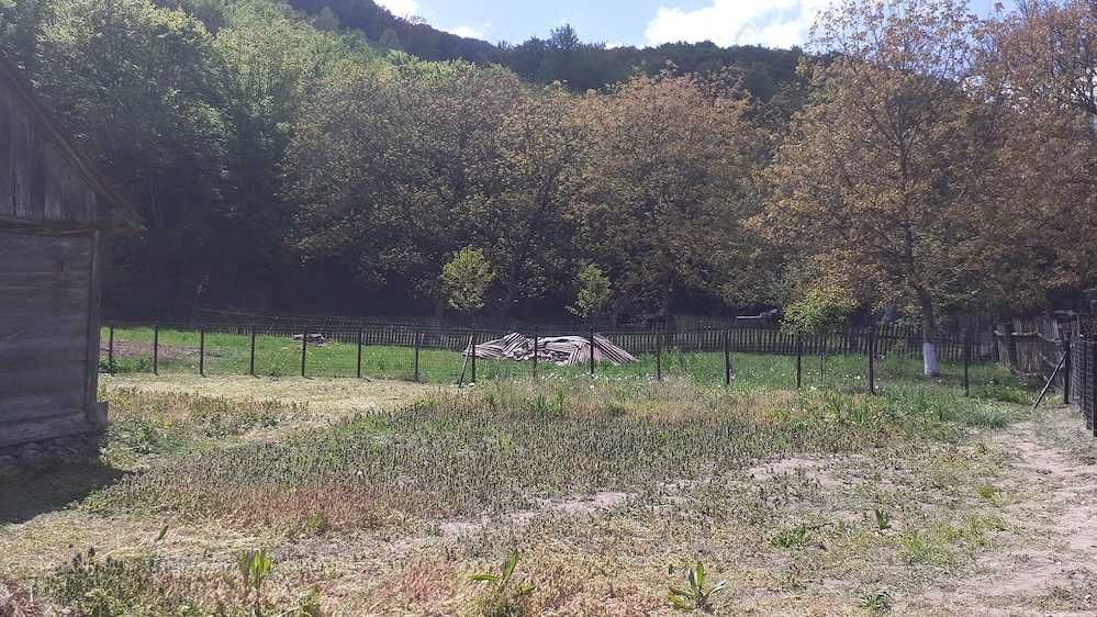 Casa traditionala+teren 640 mp de vanzare la munte, in localitatea Tarcaita, langa Beius