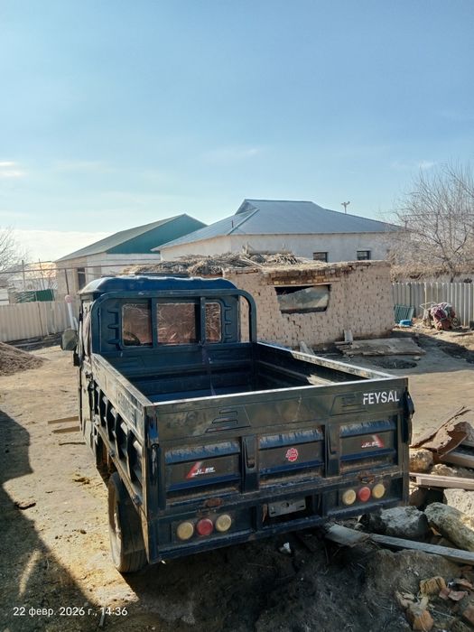 Муравей ток пенен журеди