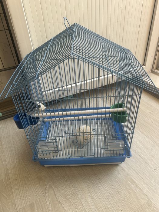 Клетка для папугая животные
