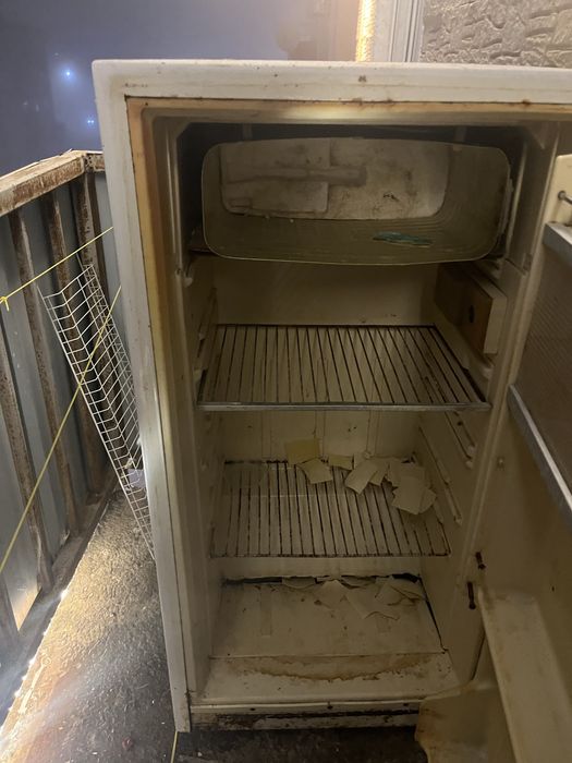 Холодильник, істен шыққан