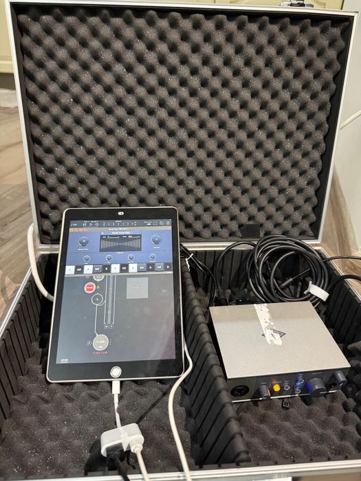 Procesor pentru voce