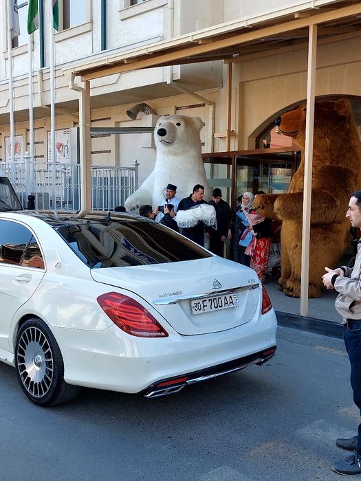 Mishki na lyubie vashi meropriyatie . Baxaybat ayiqlar barcha marosiml