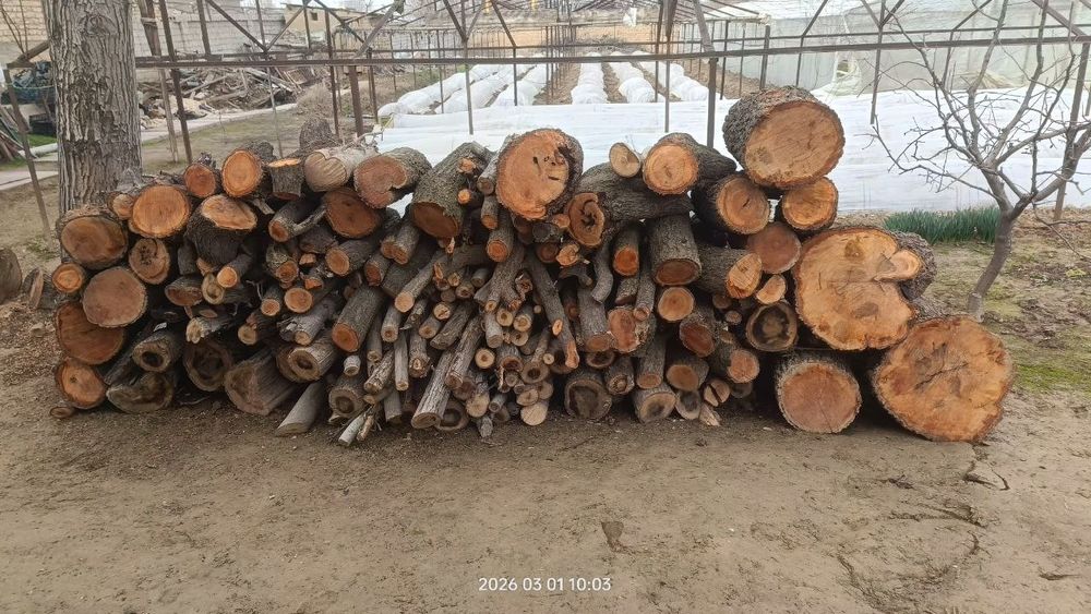 O'tin sotiladi narxi kelishiladi