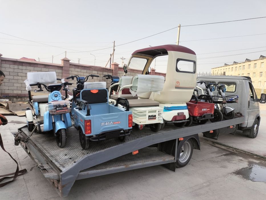 Зарядчик для скутер трицикл