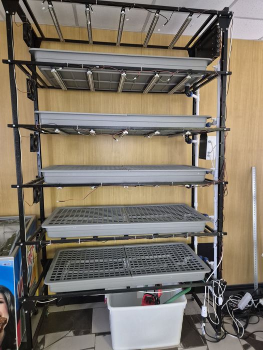 Установка для микрозелени. Аэропоника