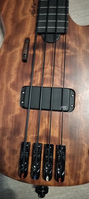 Безладовая бас гитара