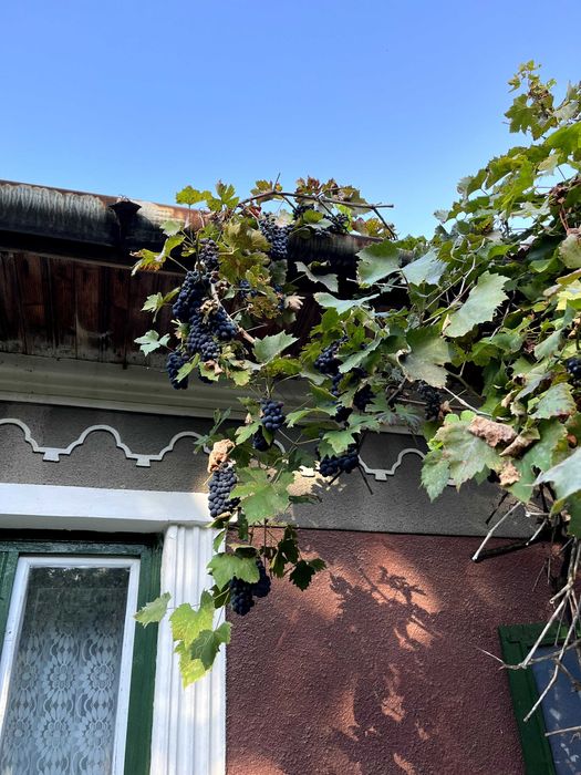 Teren 2030 mp | Sat Gheorghieni  | Asfaltat  |  Pers. Fizica