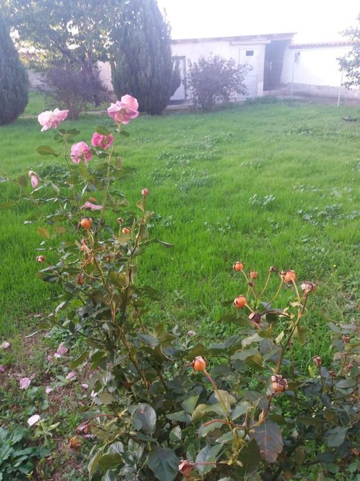 Продава се Къща в с. Боянци, Област Пловдив - 180 кв.м за 468 €/кв.м - Снимка #23