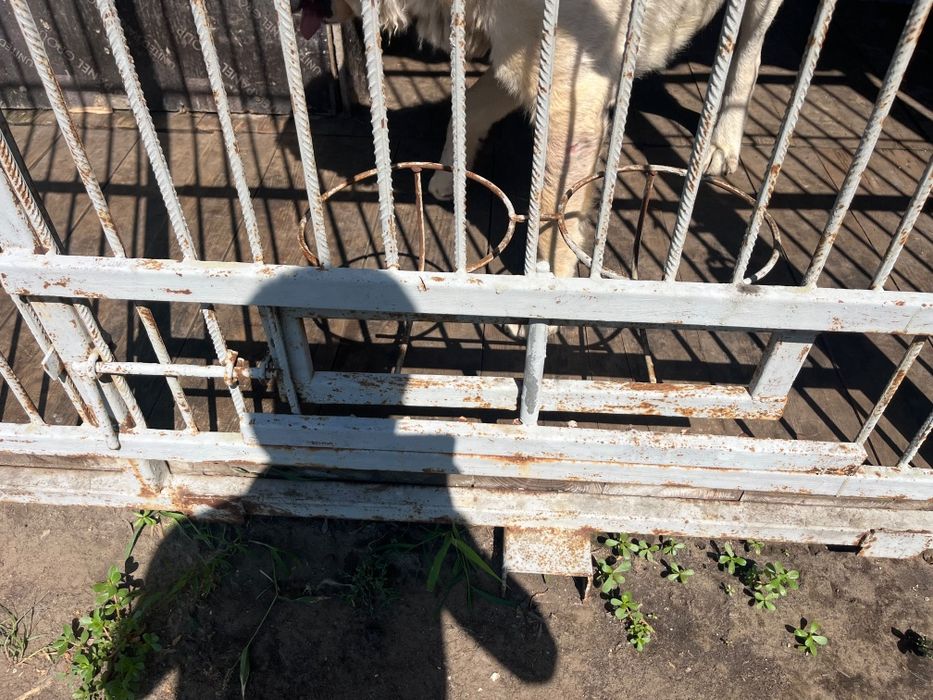 Продам вольер 3х4