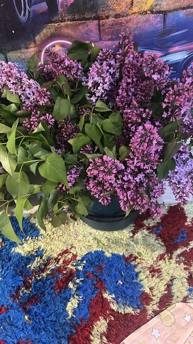 Продажа свежой сирени