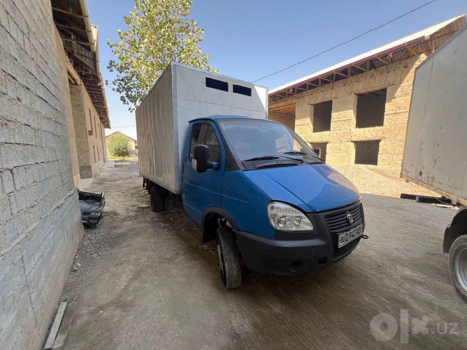 Gazel Bortli 4.20