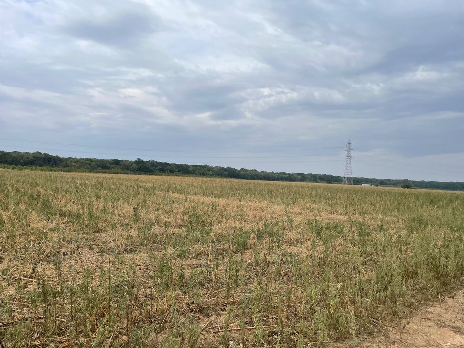 Teren intravilan Ilfov-Periș - două parcele 2465 + 2465 mp