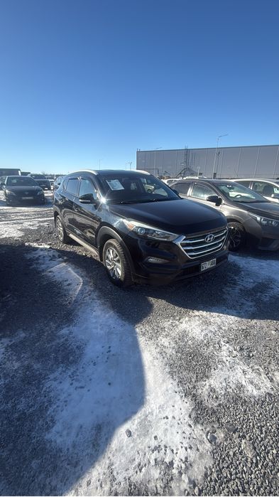 Продам туксон грузин