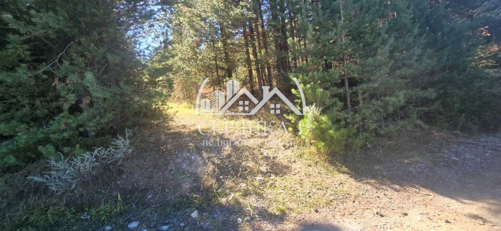 Продава се Парцел в Банско - 4820 кв.м за 37 €/кв.м - Снимка #4