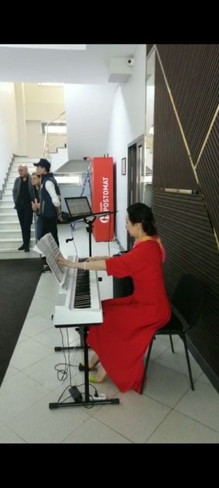 Музыкант, пианистка на ваш вечер