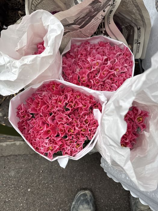 Тюльпаны разного цветп