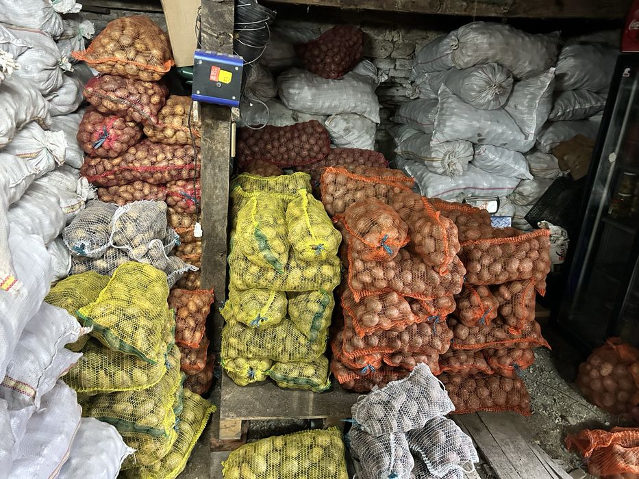 Cartofi fara chimicale