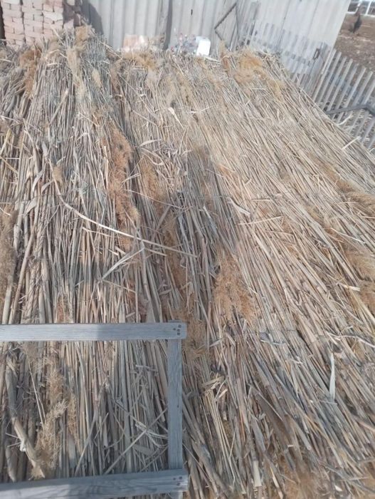 Камыс плита сатылады