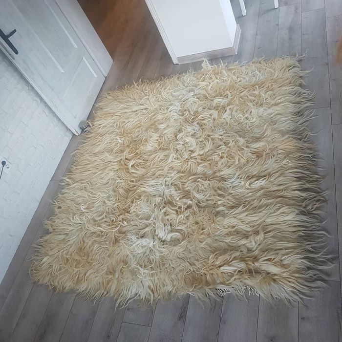 Родопско кичено халище