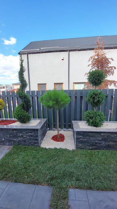 Gazon rulou ,plante ornamentale, amenajări grădini