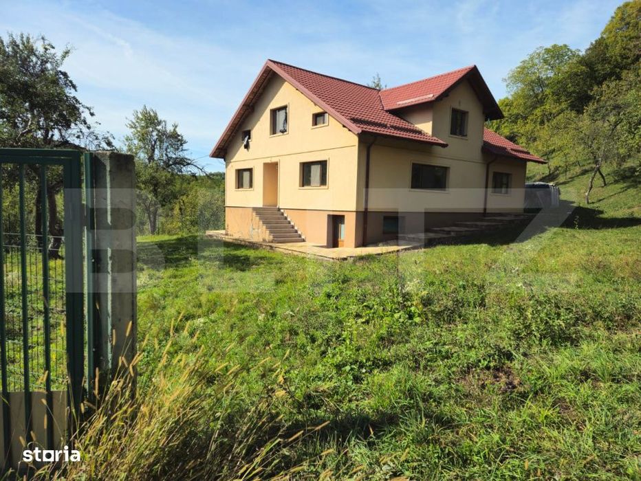 Vila Panoramica Runcu