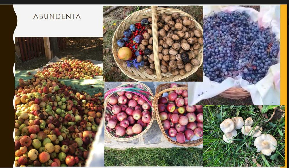 Vila cu FERMA PERMACULTURA livada, beci, solar 20min Bucuresti