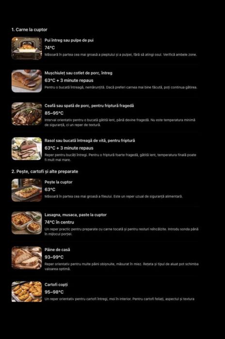 Termometru digital profesional destinat masurarii temperaturii in domeniul alimentar