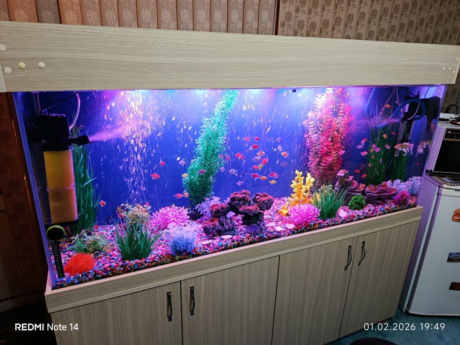 Аквариум 430 литров готовый