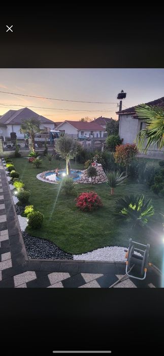 Gazon- plante naturale