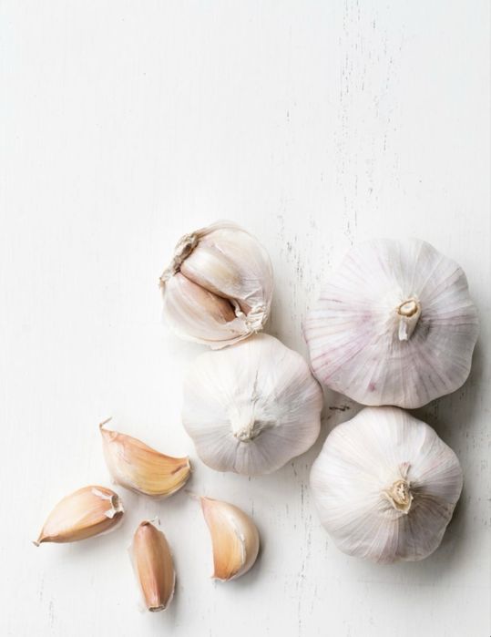 Семена чеснока сорт Любаша (элита)