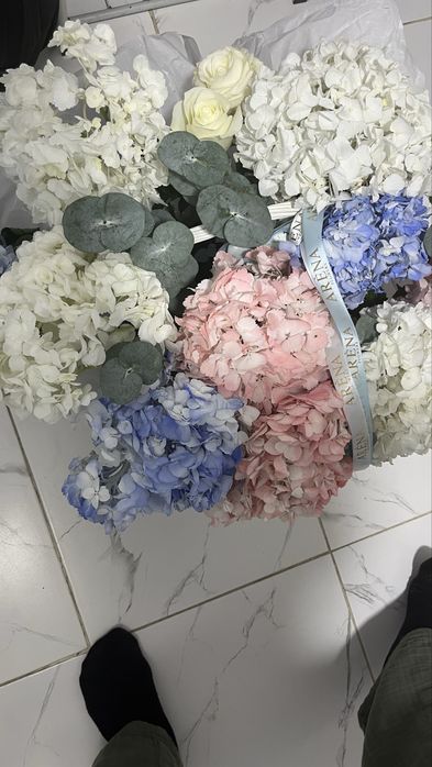 Цветы гортензия за 15 к