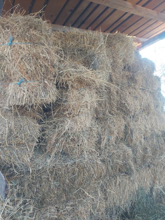 De vanzare baloti de fan și paie de grau
